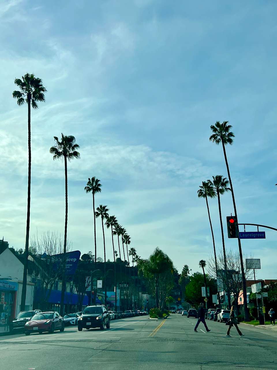 Amy's Guide to Studio City