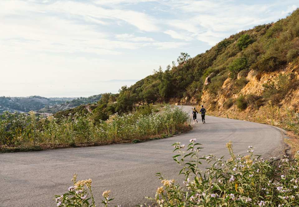 A Guide to Parks and Gardens in Santa Barbara Abel Ramos