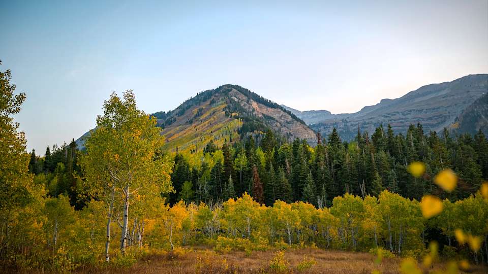 Alpine / Highland Community Guide