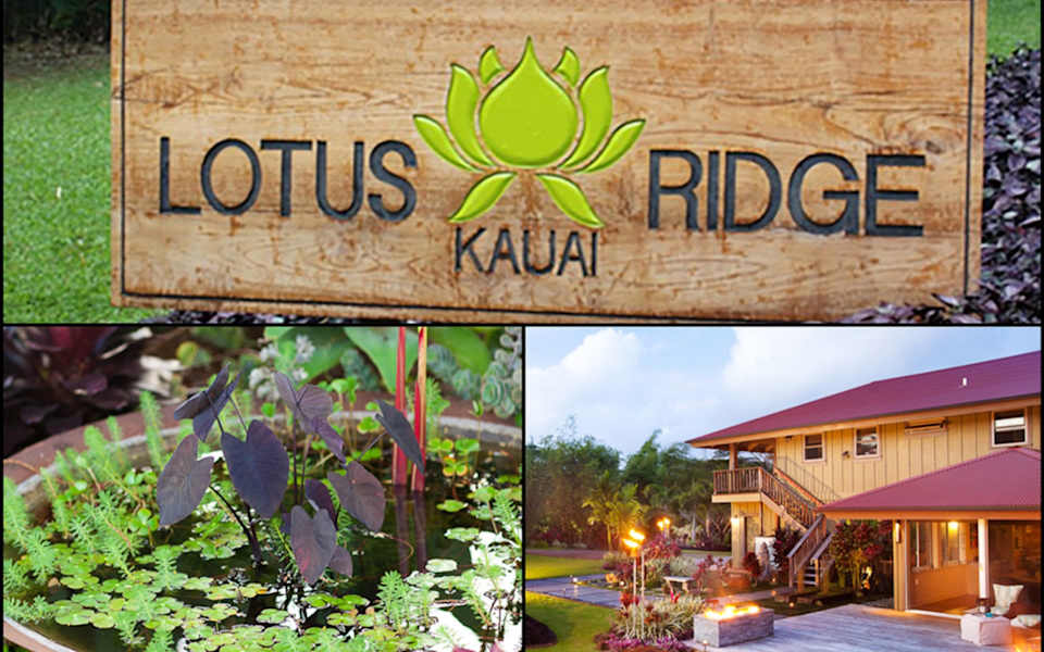 Lotus Ridge Kauai Paradise on the Garden Island Blog