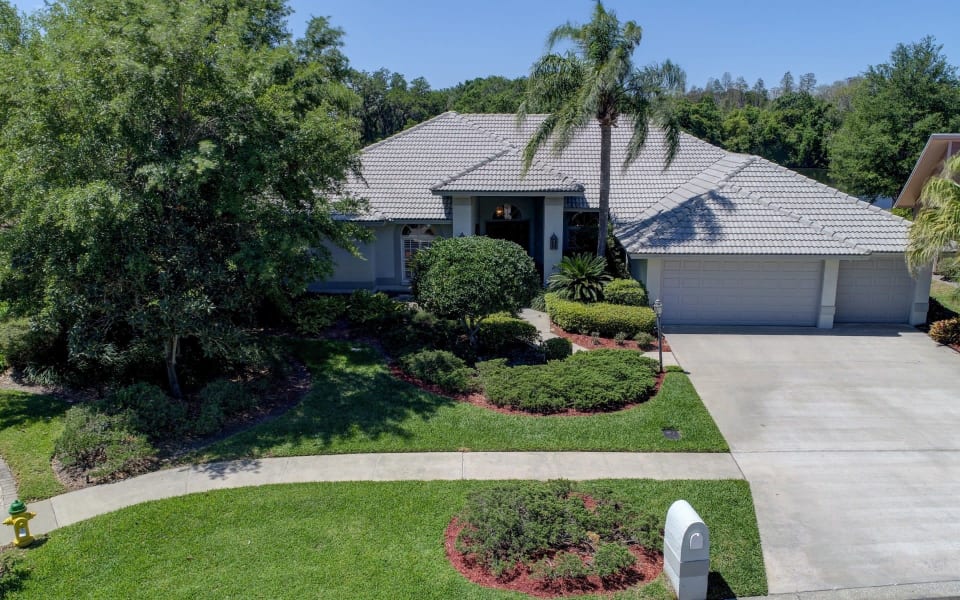 Carrollwood, FL Neighborhood Guide Joe Lewkowicz