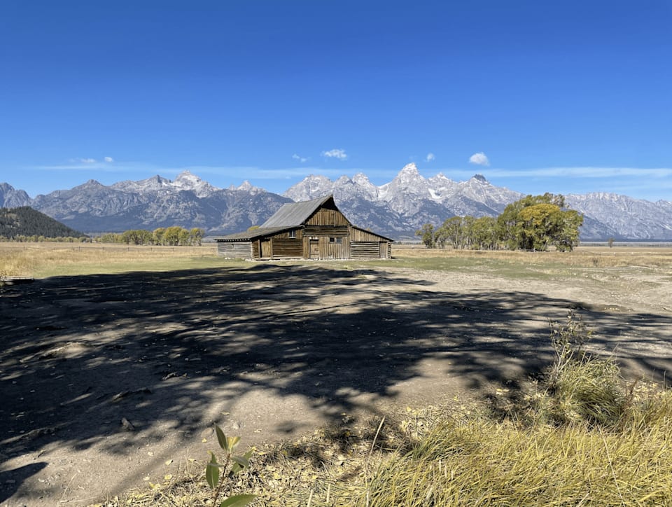 Moose Community Guide Mountain Standard Realty Team