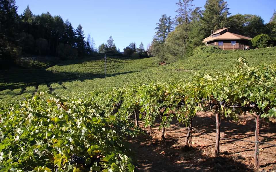 The Ultimate Guide to St. Helena Real Estate Investment Blog Mark