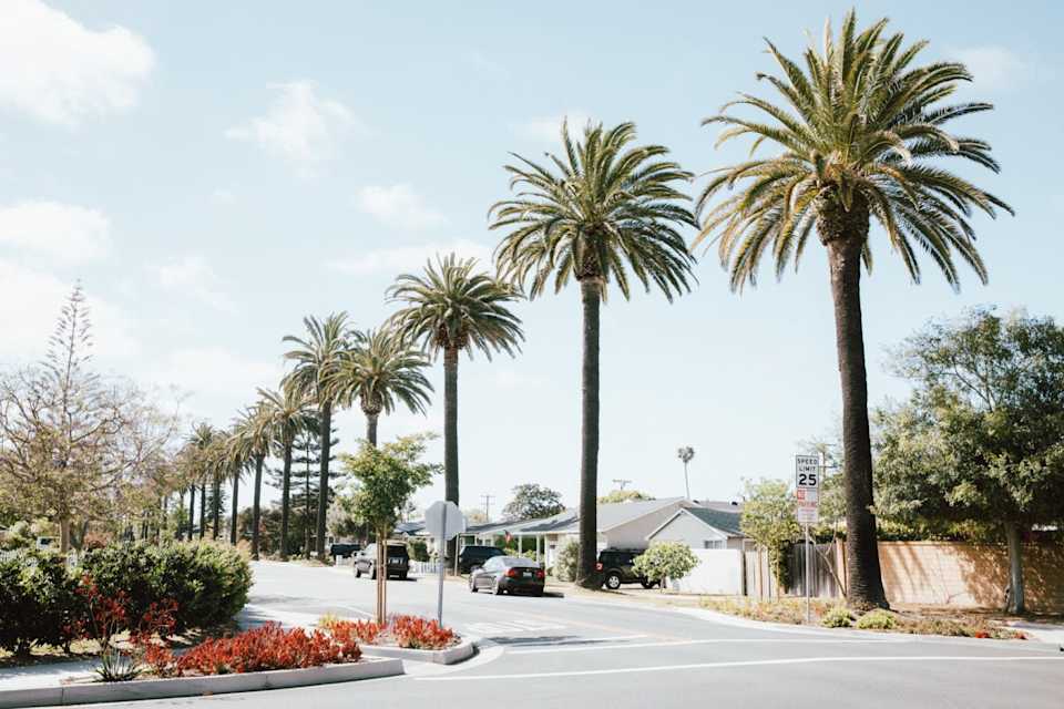 Neighborhood Eastside Costa Mesa