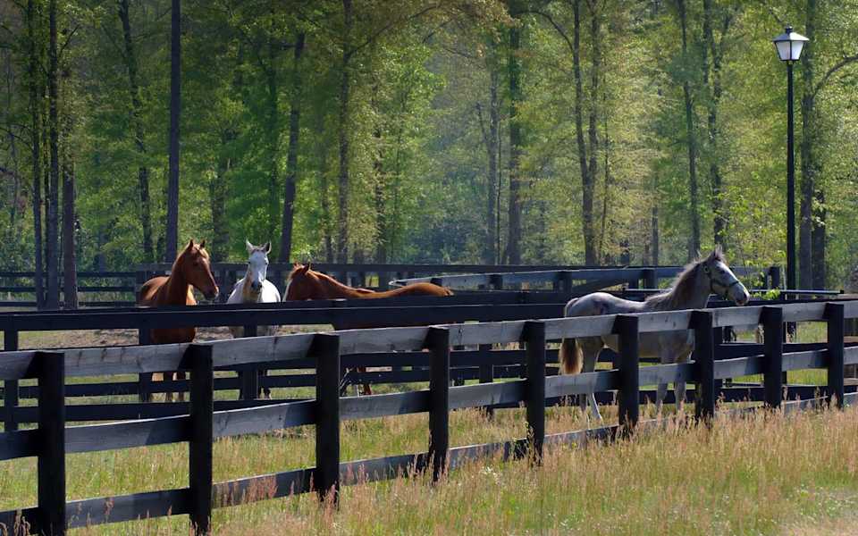 Three Runs Plantation Equestrian Communities