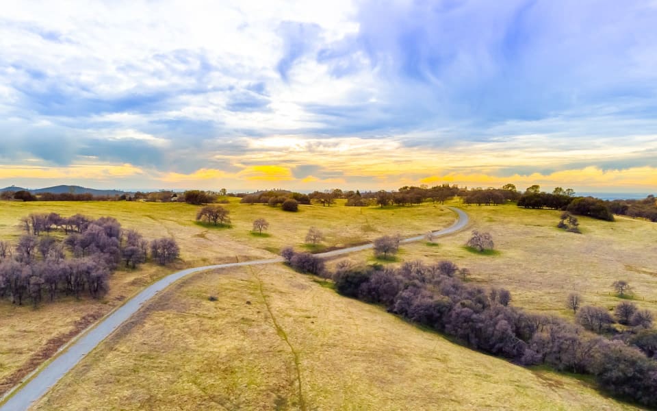 Safari Estates at Pilot Hill Denise Dascallos