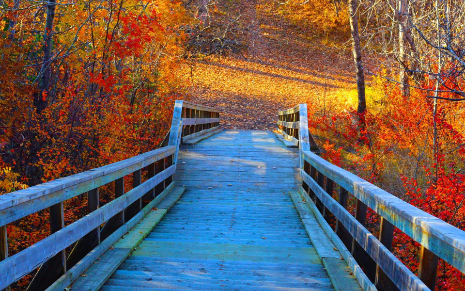 Laurier Heights Neighbourhood Guide Luxury Edmonton Rimrock Real Estate