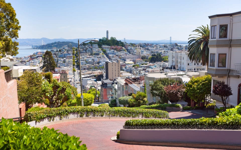 Presidio Heights Real Estate Area Guide Tim Farrell San Francisco Real Estate Team