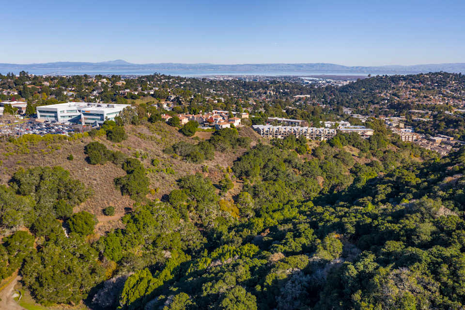 San Carlos Parks Belmont Outdoor Spaces Veritas Homes