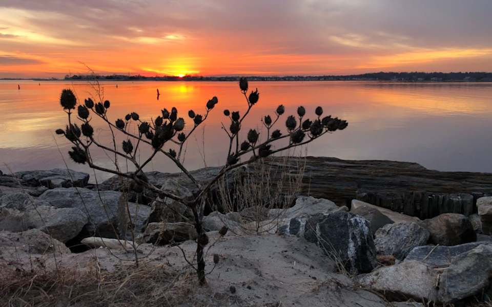 What is the Real Cost of Living in Westport? Blog Serena Richards