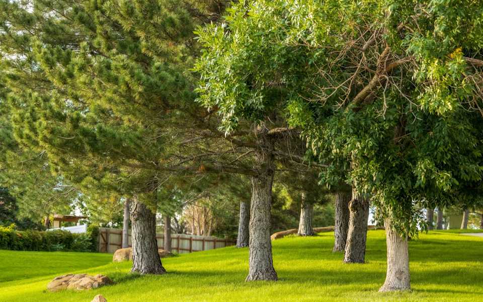 Aurora Neighborhood Guide