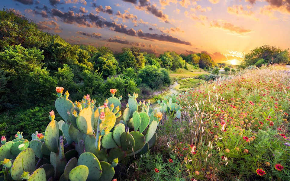 Milam County Moxie Texas Real Estate