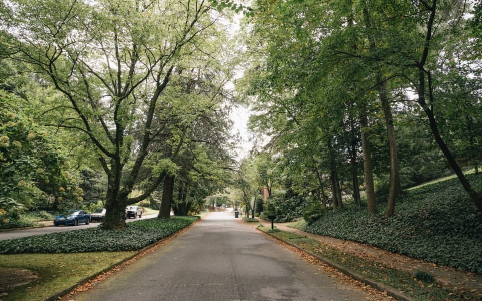 Morningside, Atlanta Real Estate Living in Morningside, Atlanta