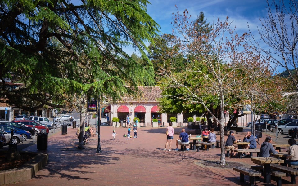 Mill Valley Neighborhood Guide Making Marin Home Kathleen