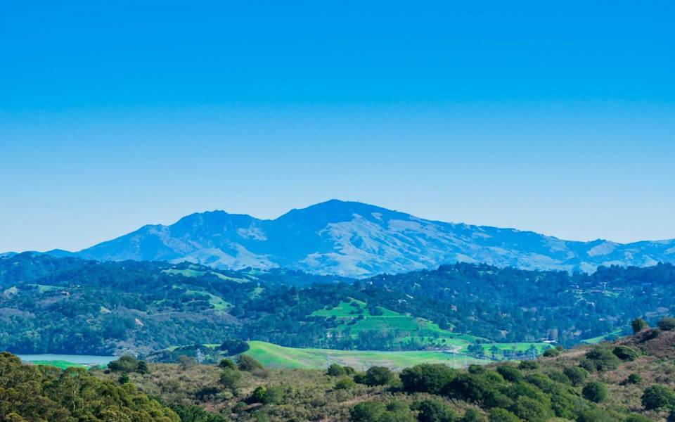 Alamo BLVD Real Estate