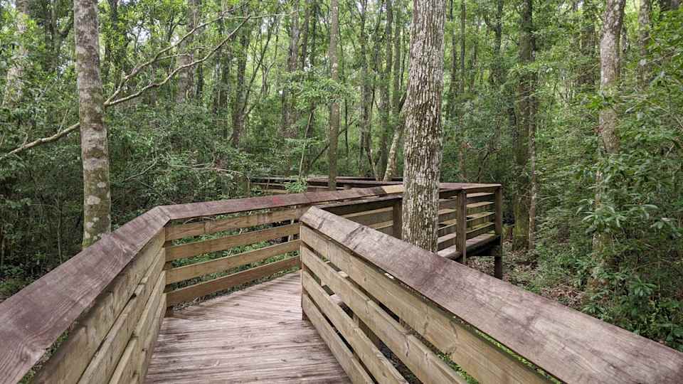 **Uncovering the Rich History of Freeport, IL: A Look into the City's Vibrant Past through Obituaries**