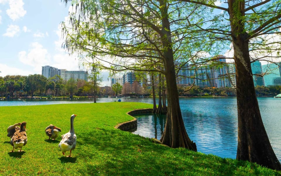 Thornton Park ALIGN Real Estate