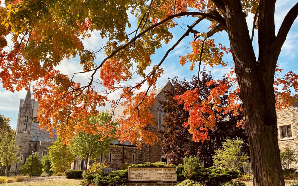 Bathurst Manor Neighbourhood Guide Shane Giddens Greater Toronto