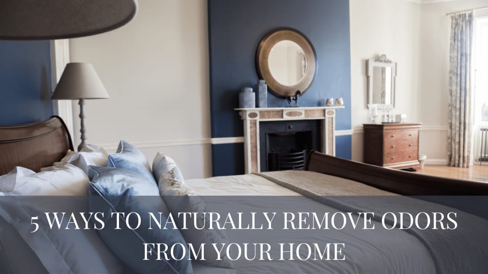 5 Ways to Naturally Remove Odors from Your Home