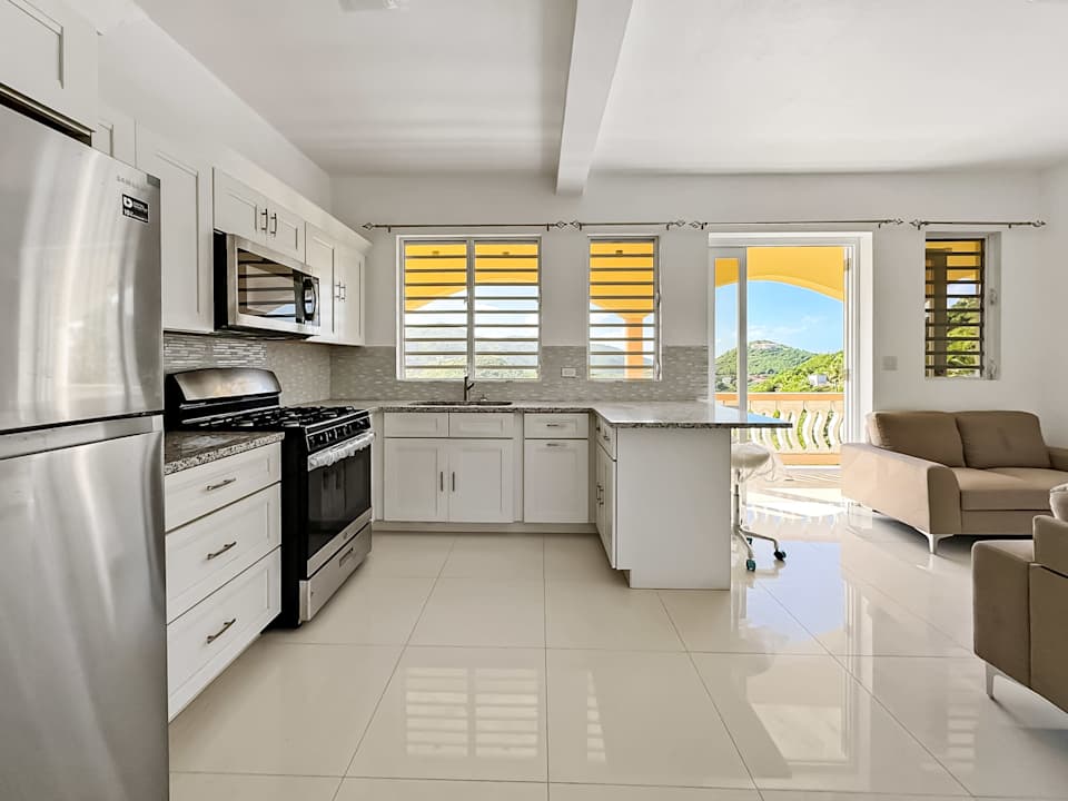 619 1 Bedroom Apartment in Greenland Luxury Properties BVI Tortola