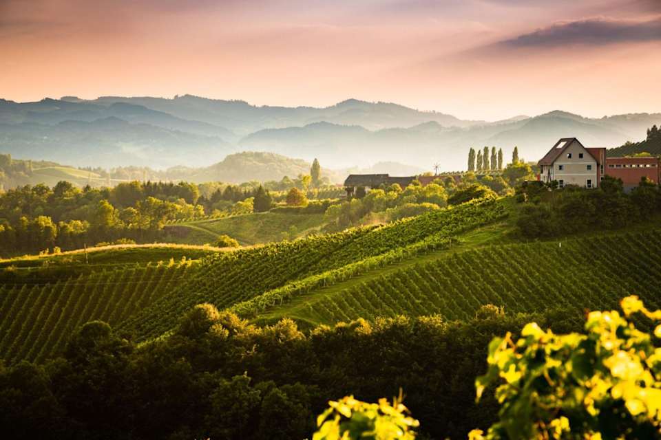 Wine Country Living A Guide to the Region's Culture, Events, and Amenities