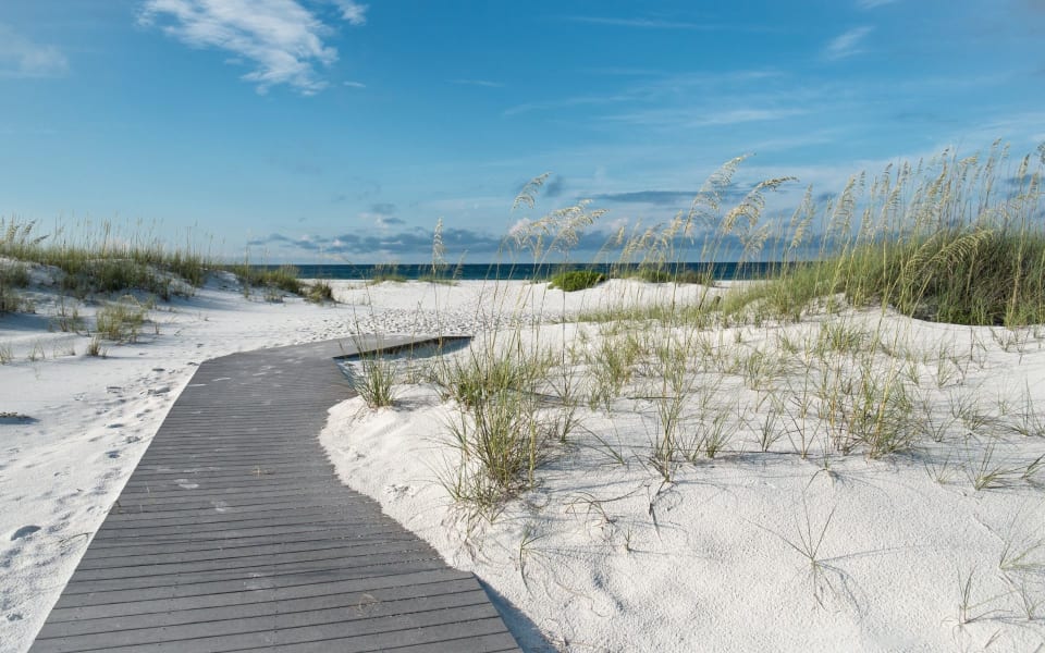 The Preserve At Grayton Beach Neighborhood Guide