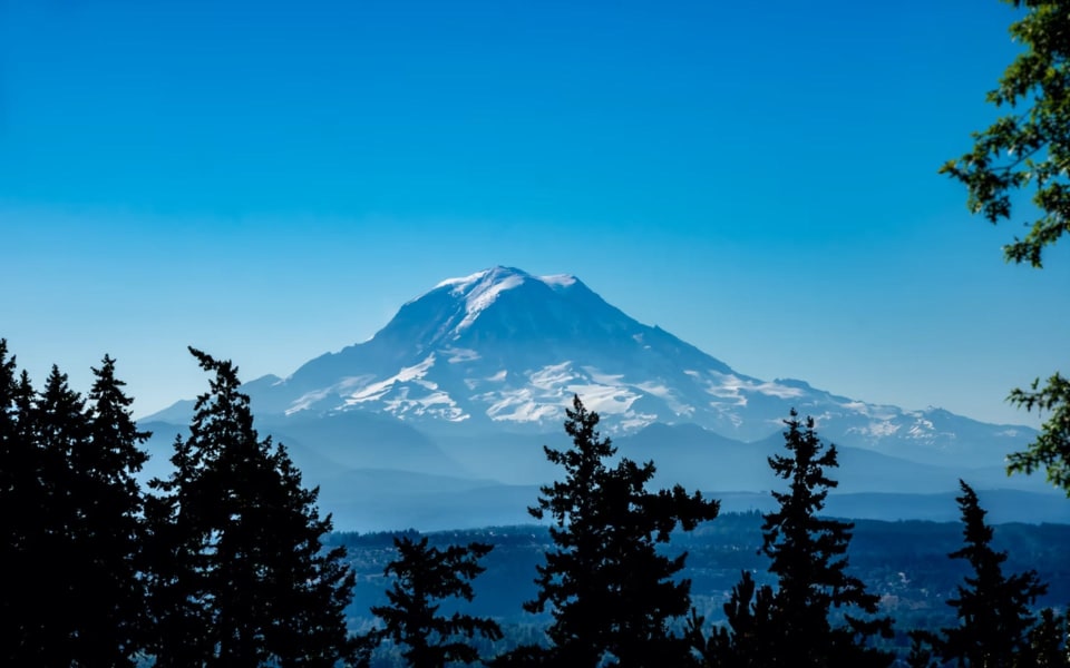 8 Reasons Why to Start Living in Puyallup WA The Agents Real Estate Group