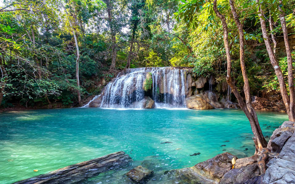 dripping-springs-neighborhood-guide