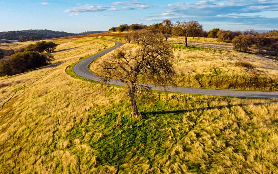 Safari Estates at Pilot Hill Denise Dascallos