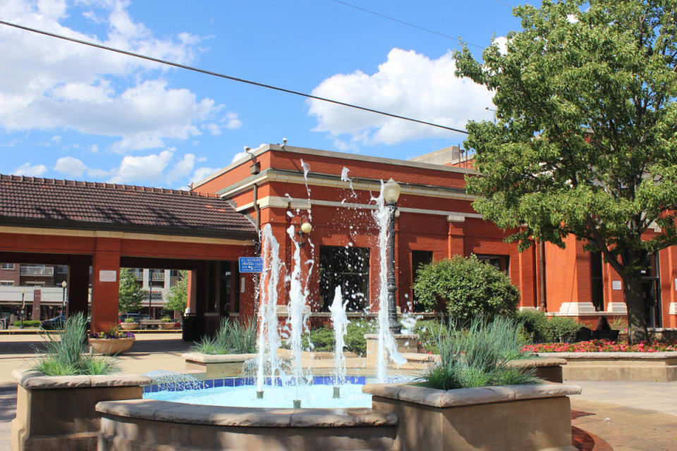 Downers Grove Chase Michels