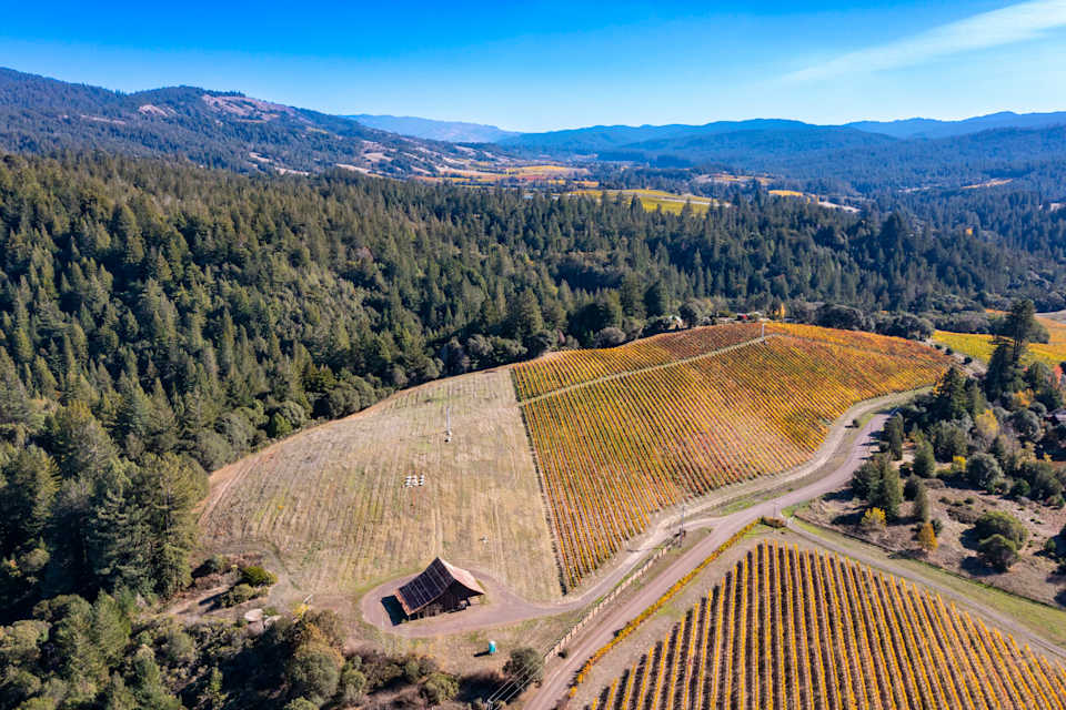 Anderson Valley, Vineyard Kevin McDonald