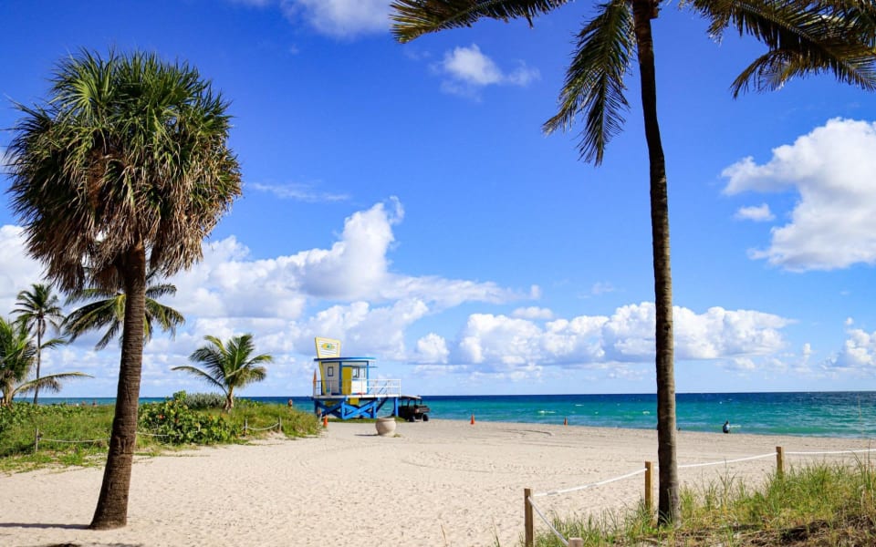 How to Make the Most of Your First Year in Broward County Coral