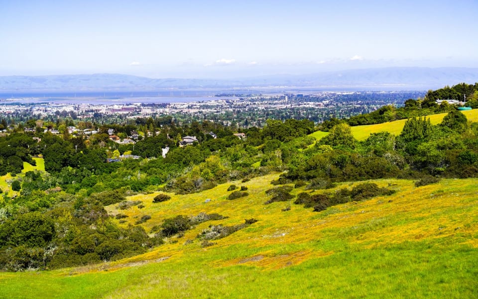 Menlo Park Community Guide