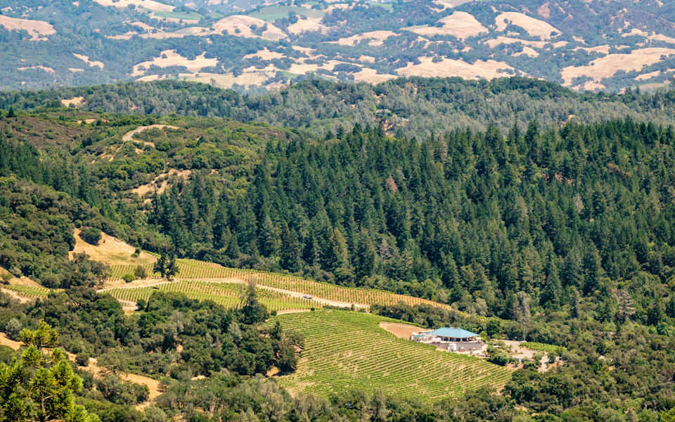 Healdsburg | Neighborhood Guide