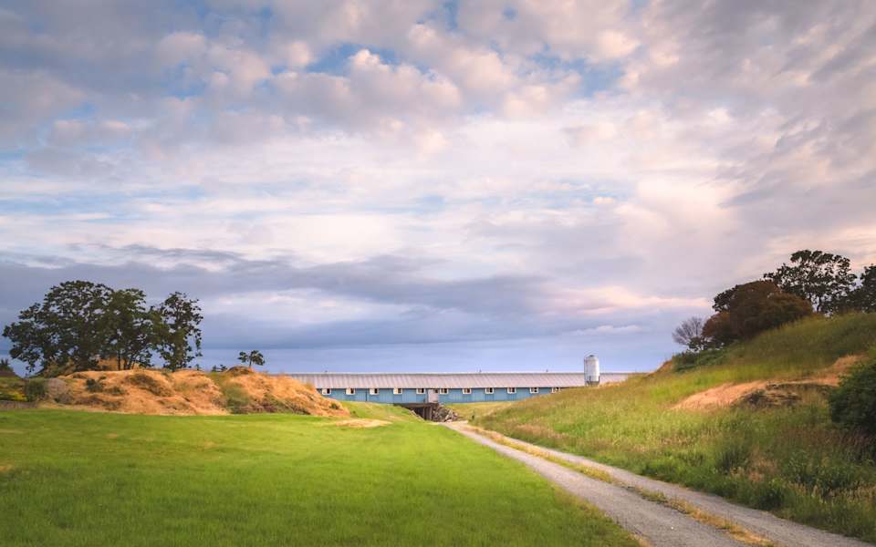 Living in Saanich West, BC Neighborhood Guide Kash Burley