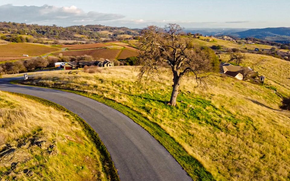 Safari Estates at Pilot Hill Denise Dascallos