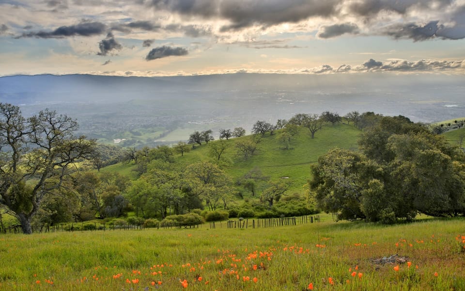 Persimmon Hill Ojai, CA Real Estate & Homes for Sale