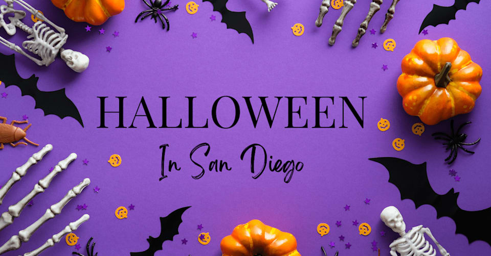 Halloween San Diego Velocity Realty
