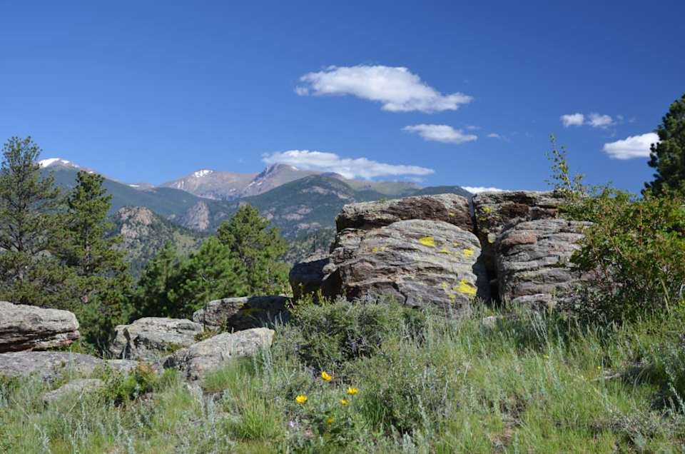 Neighborhood Pinewood Springs