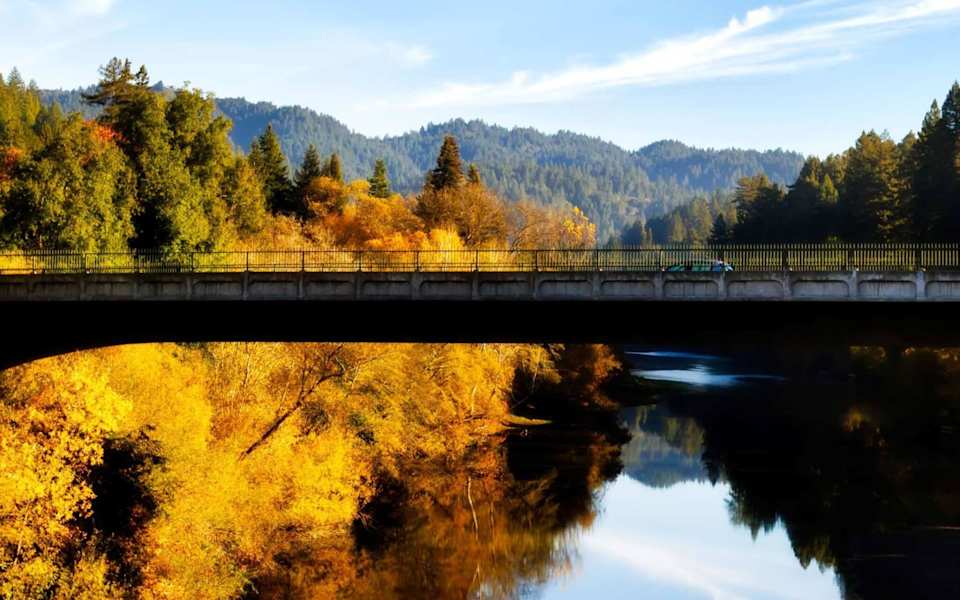 Guerneville Hive Real Estate