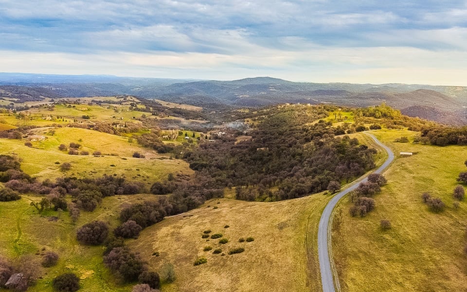 Safari Estates at Pilot Hill Denise Dascallos