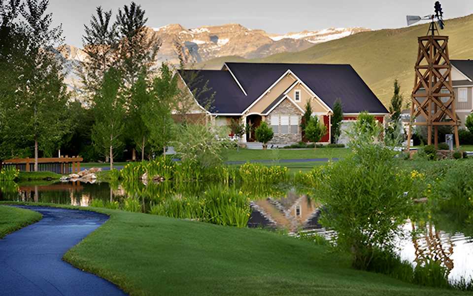 Dutch Fields Development