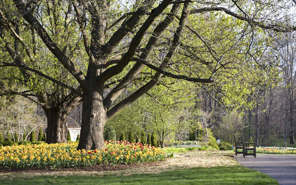 Grandview Heights, OH Real Estate & Homes For Sale