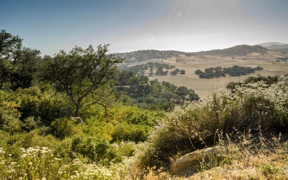 Monte Sereno Neighborhood Guide