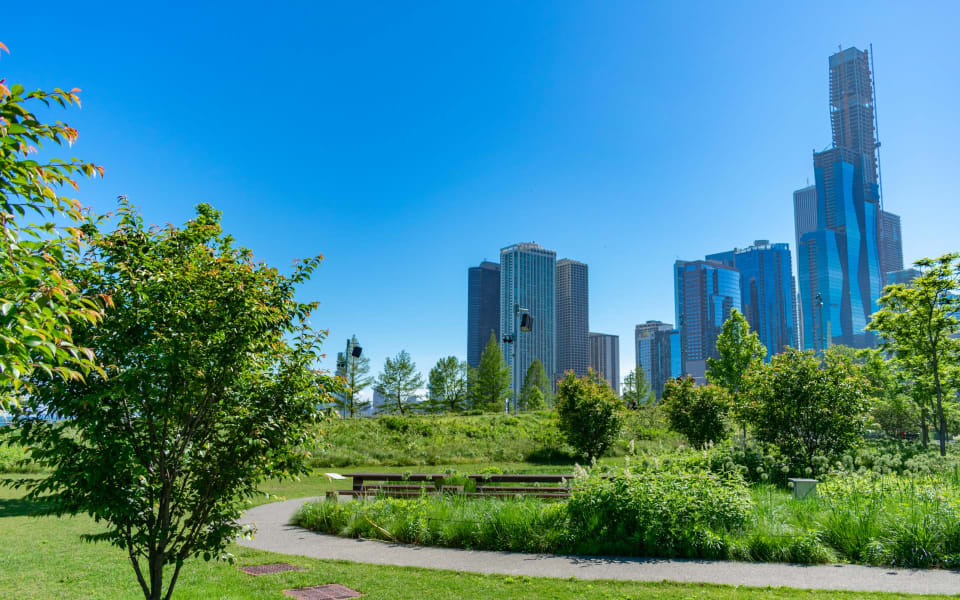 Streeterville Community Guide Jodi Dougherty Chicago Real Estate
