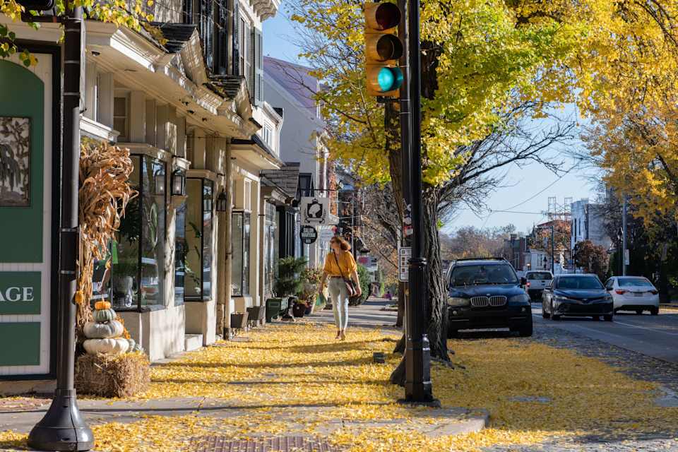 Chestnut Hill Real Estate Neighborhood Guide Tabitha Heit