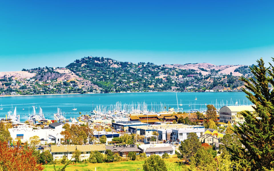 Sausalito Real Estate Team Real Estate