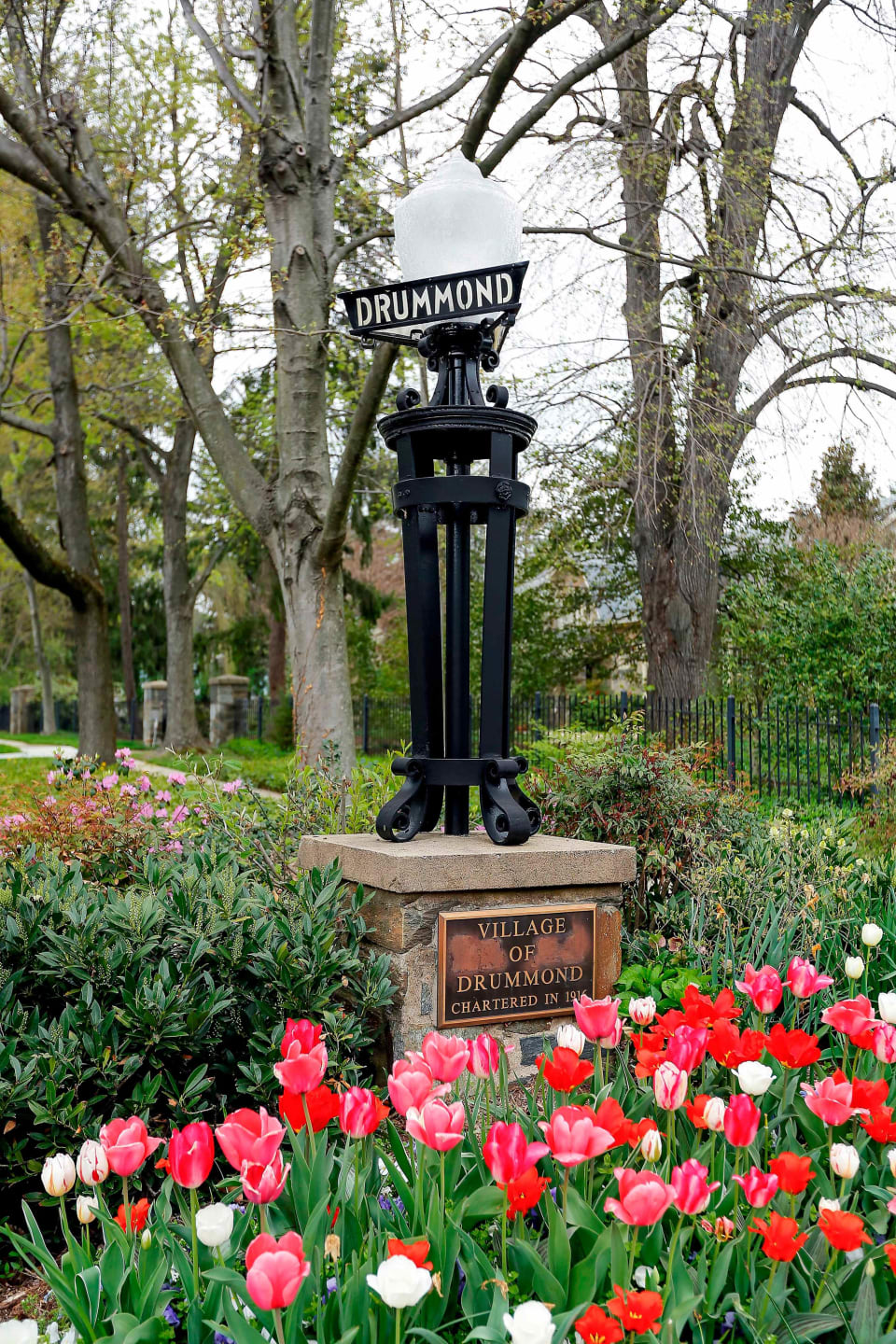 Village of Drummond Neighborhood Guide Phyllis Wiesenflder Bethesda Real Estate Agent