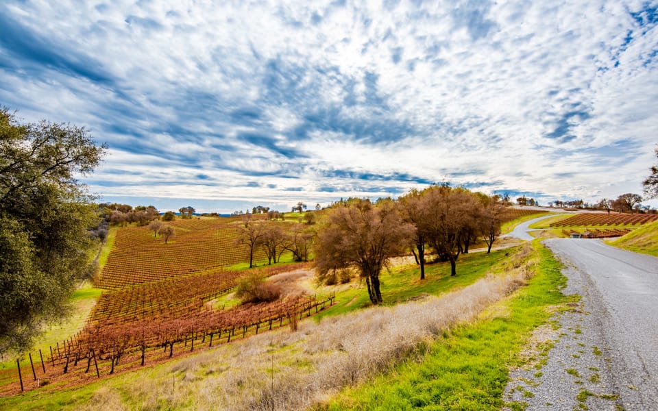 Safari Estates at Pilot Hill Denise Dascallos