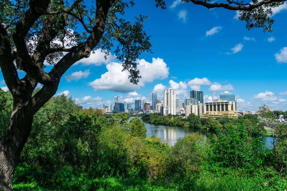 Rollingwood Area Guide Roots Residential Group